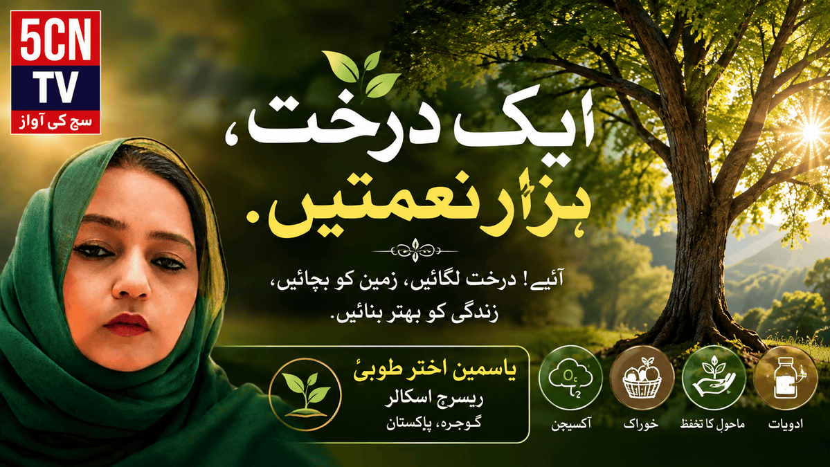 ایک درخت، ہزار نعمتیں. یاسمین اختر طوبیٰ ریسرچ اسکالر گوجرہ، پاکستان 1 One Tree, A Thousand Blessings
