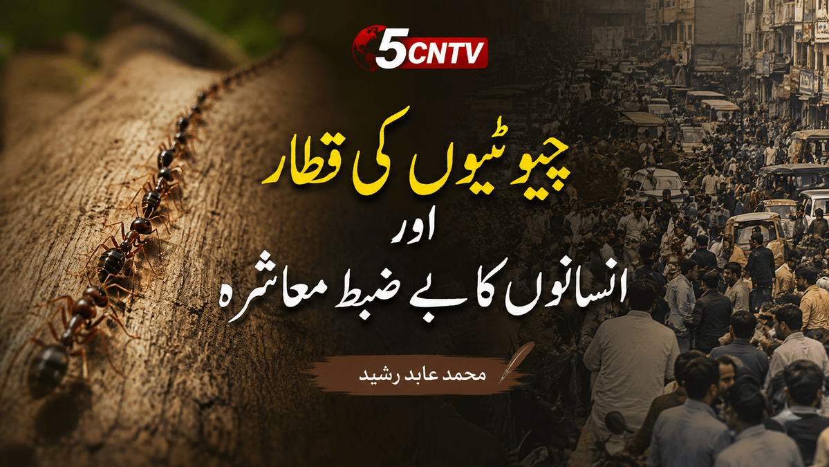 چیونٹیوں کی قطار اور انسانوں کا بے ضبط معاشرہ. محمد عابد رشید 3 Undisciplined Human Society