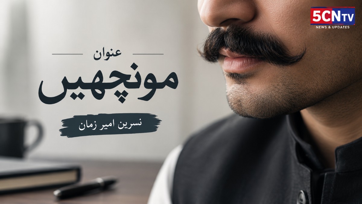 عنوان مونچھیں. نسرین امیر زمان 3 Moustaches