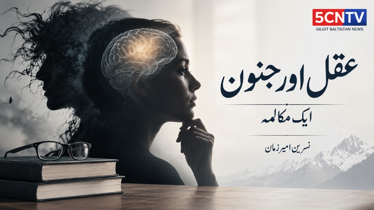 عقل اور جنون. ایک مکالمہ، نسرین امیرزمان 2 Reason and Madness