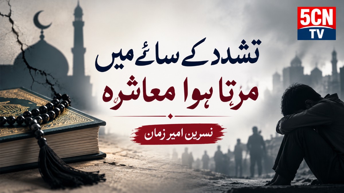 تشدد کے سائے میں مرتا ہوا معاشرہ. نسرین امیرزمان 4 Society Dying