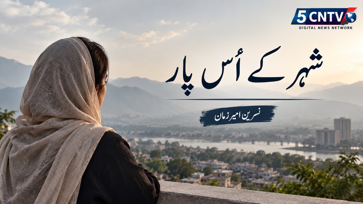 شہر کے اُس پار . نسرین امیرزمان 1 Beyond the City